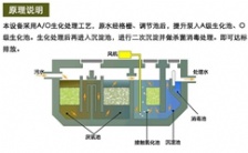  一體化污水設(shè)備在農(nóng)村污水上的運用