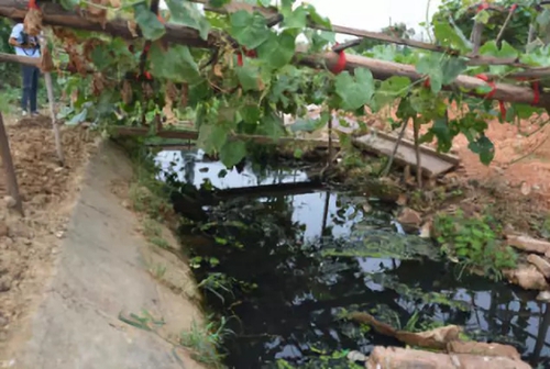 長沙市后湖：徹底消除黑臭，實(shí)現(xiàn)“長治久清”