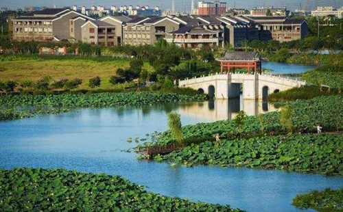 從“優(yōu)環(huán)境”到“強產業(yè)”再到“惠民生” 東莞市麻涌鎮(zhèn)走通綠色發(fā)展“閉環(huán)”
